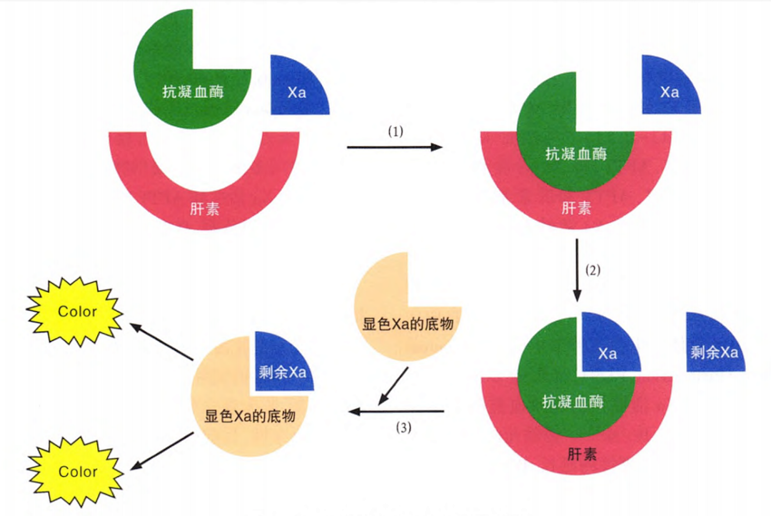 国产抗Xa质量如何？多中心临床研究来告诉你！